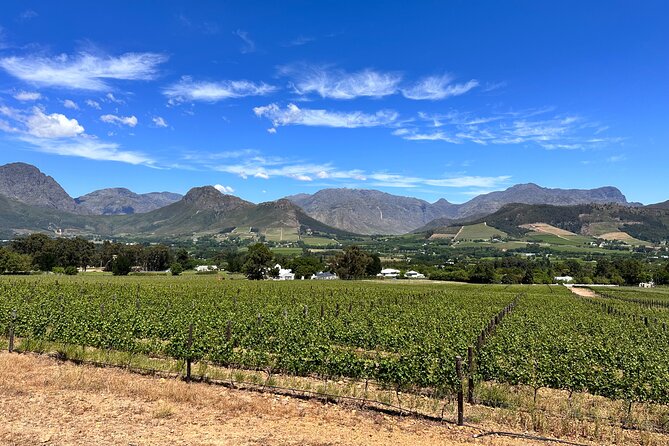 Wine Tasting in Cape's Top Three Winelands Private Tour - Fairview Wine and Cheese: goat cheese pairing made practical