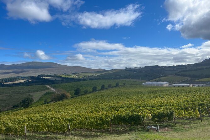 Wine Tasting Private Tour in Cape Winelands - Delaire Graff: five wines, dramatic views, and a “jewel” feel