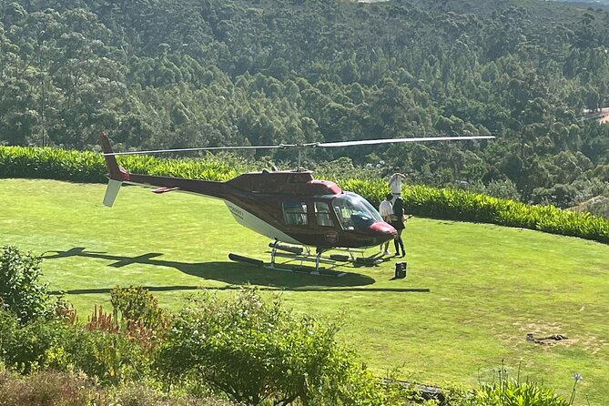 Wine Tasting Private Tour in Cape Winelands - Franschhoek time: Valley of Dreams, art browsing, and market wandering