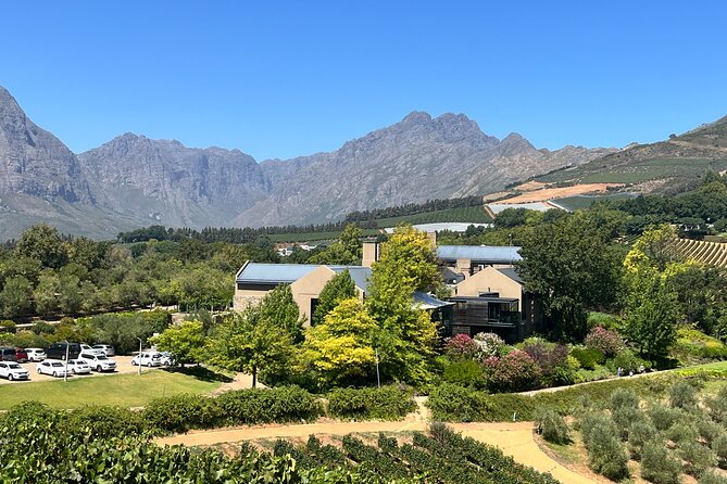 Wine Tasting Private Tour in Cape Winelands - Haute Cabriere: quality wines with high-mountain views