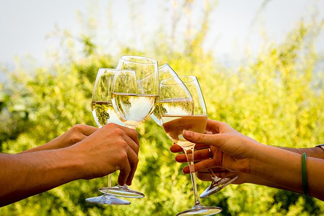 Wine Tour: Paarl, Franschhoek & Stellenbosch incl 3 wineries - Price and logistics that actually matter