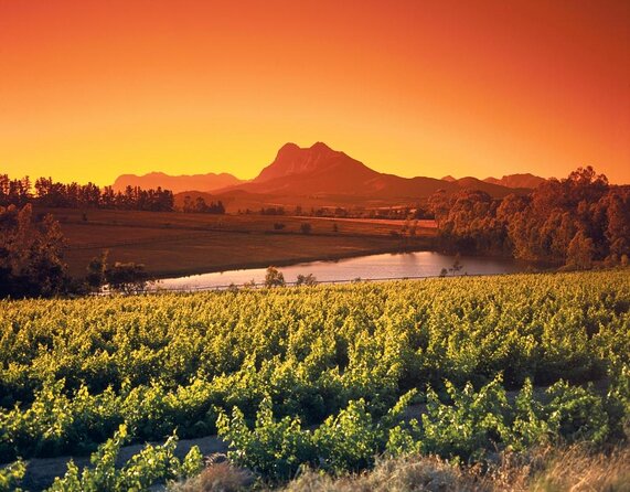 Wine Tour: Paarl, Franschhoek & Stellenbosch incl 3 wineries - Groot Drakenstein Prison photo stop and Mandela’s timeline
