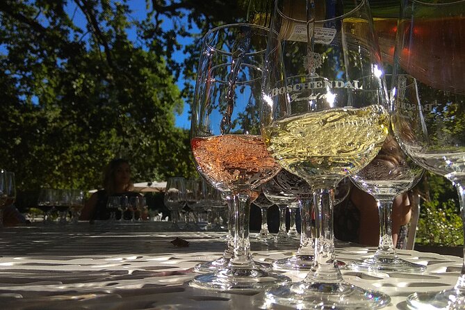 Wine Tour to Stellenbosch & Franschhoek with Tastings & Lunch - Key Highlights You’ll Feel Immediately