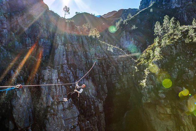 Zip Line and Wine from Cape Town - Who this tour is perfect for