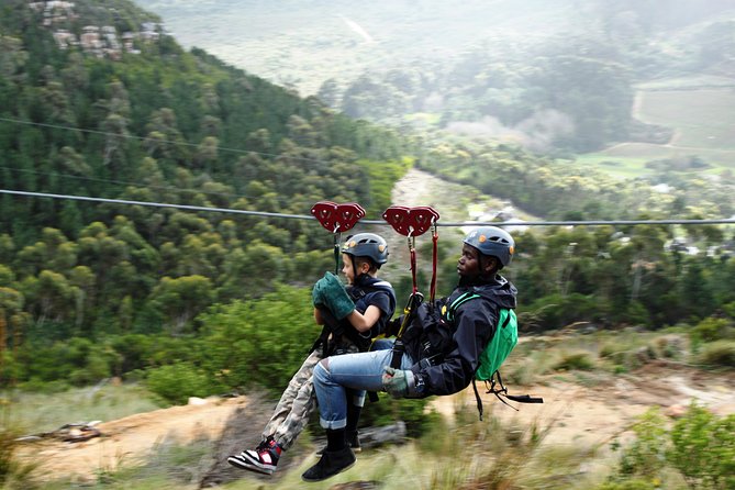 Zipline Cape Town - From Foot of Table Mountain Reserve - Key highlights in plain words