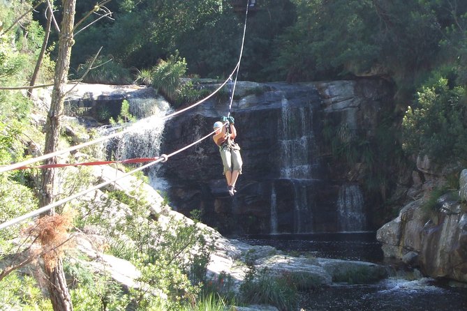 Ziplining Elgin - Why Elgin Valley ziplining feels different in Cape Town area